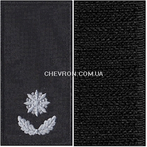 Погони Поліції охорони майор (на липучці)