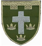 Шеврон 124 окрема бригада ТрО (Херсонська область)