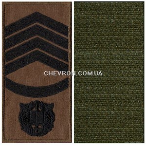 Погон НГУ курсант-головний сержант (на липучці)