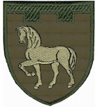 Шеврон 111 окрема бригада ТрО (Луганська область)
