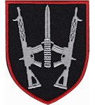 Шеврон 67 ОМБр