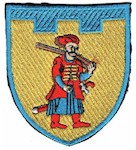 Шеврон 110 окрема бригада ТрО (Запорізька область) (кольоровий)