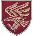 Шеврон 95 окрема десантно-штурмова бригада