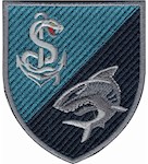 Шеврон 40 ОБрБО Медична рота (кольоровий)