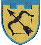 Шеврон 113 окрема бригада ТрО (Харківська область) (кольоровий)