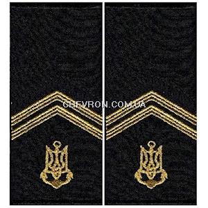 Погони ВМС  старшина 2 статті (муфта)