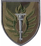 Шеврон 199 Навчальний центр ДШВ