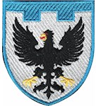 Шеврон 119 окрема бригада ТрО (Чернігівська область) (кольоровий)
