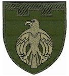 Шеврон 121 окрема бригада ТрО (Кіровоградська область)