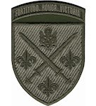 Шеврон 155 ОМБр Fortitudo. Honor. Victoria