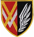 Шеврон 434 окремий батальйон безпілотних систем