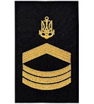 Нарукавний знак розрізнення ВМС старший майстер-старшина (старший мічман)