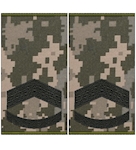 Погони ЗСУ штаб-сержант (прапорщик) (нитка чорна, муфта)
