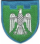 Шеврон 107 окрема бригада ТрО (Чернівецька область) (кольоровий)